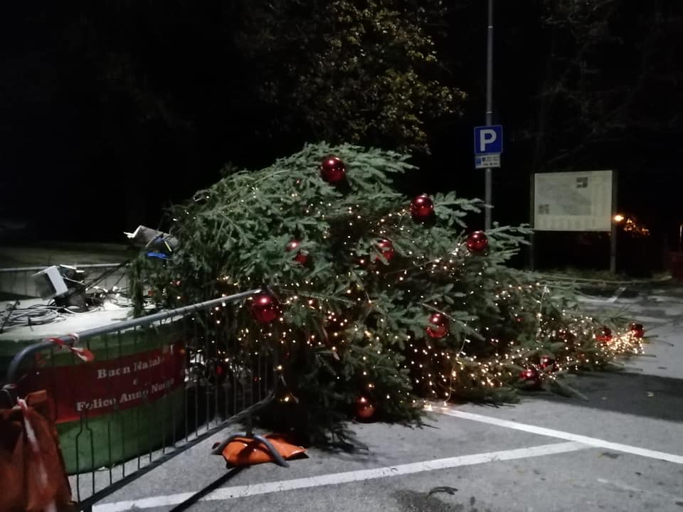 Vandali in azione nella notte a Sistiana, tagliato in due l'albero di Natale 