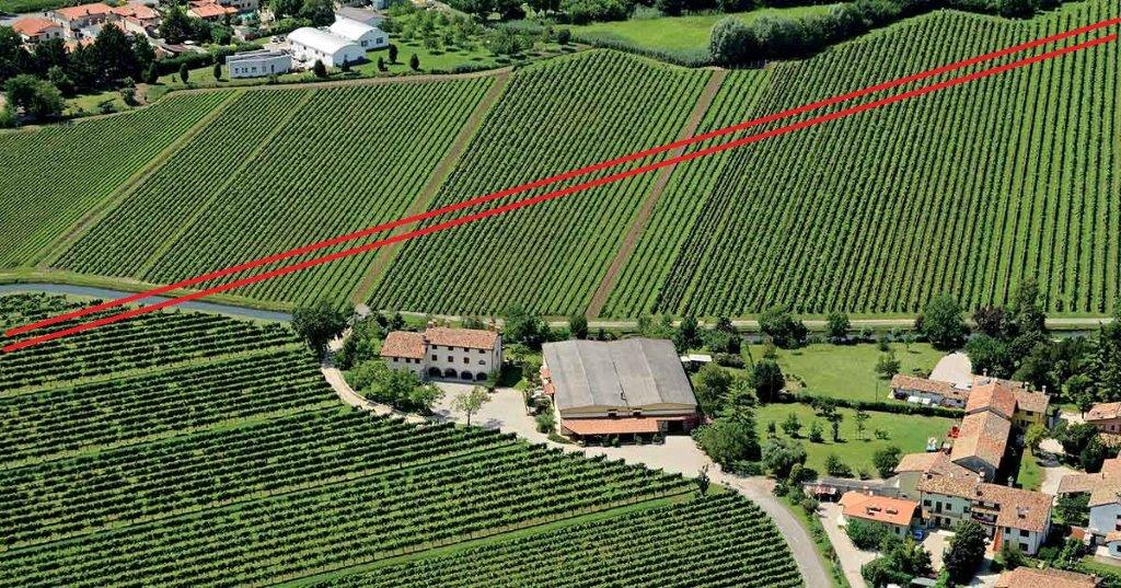 Immagine per Un parco archeologico nascosto tra i vigneti, la nuova idea per salvare l'Obiz di Cervignano