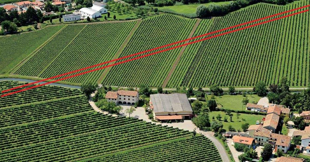 Un parco archeologico nascosto tra i vigneti, la nuova idea per salvare l'Obiz di Cervignano