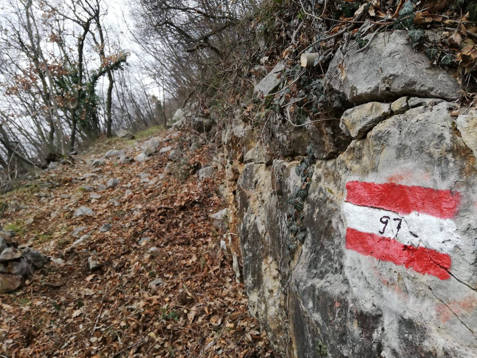 Copertina per Era sommerso dalla vegetazione, il Cai Gorizia dà nuova vita a un sentiero sul Sabotino