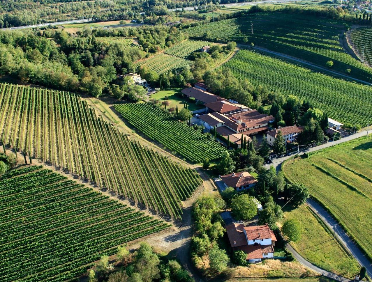 Copertina per Le cantine Jermann di Farra d'Isonzo passano al colosso del vino di Firenze Antinori