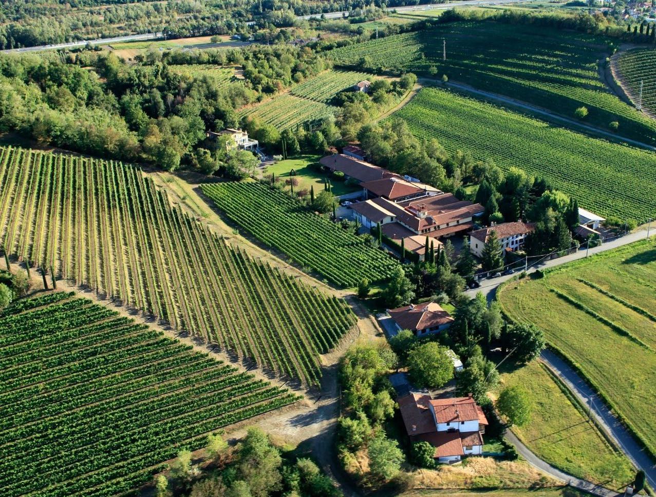 Le cantine Jermann di Farra d'Isonzo passano al colosso del vino di Firenze Antinori