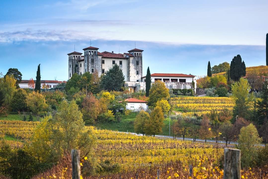 Immagine per Castelli e musei gratis a Nova Gorica per la festa nazionale della cultura