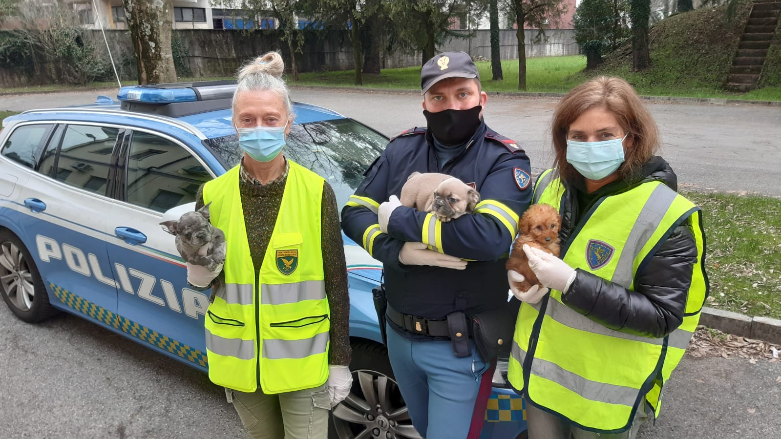 Immagine per Trafficava cuccioli di cane dalla Slovenia, denunciato a Villesse un 46enne
