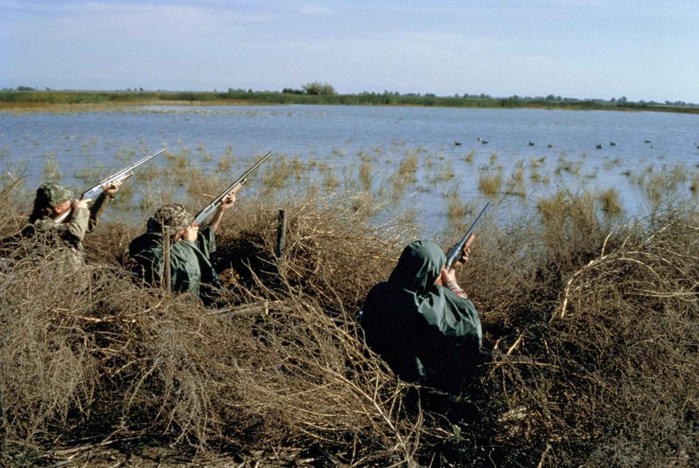 Copertina per Da Gorizia a Monfalcone, le associazioni animaliste dicono no al referendum contro la caccia