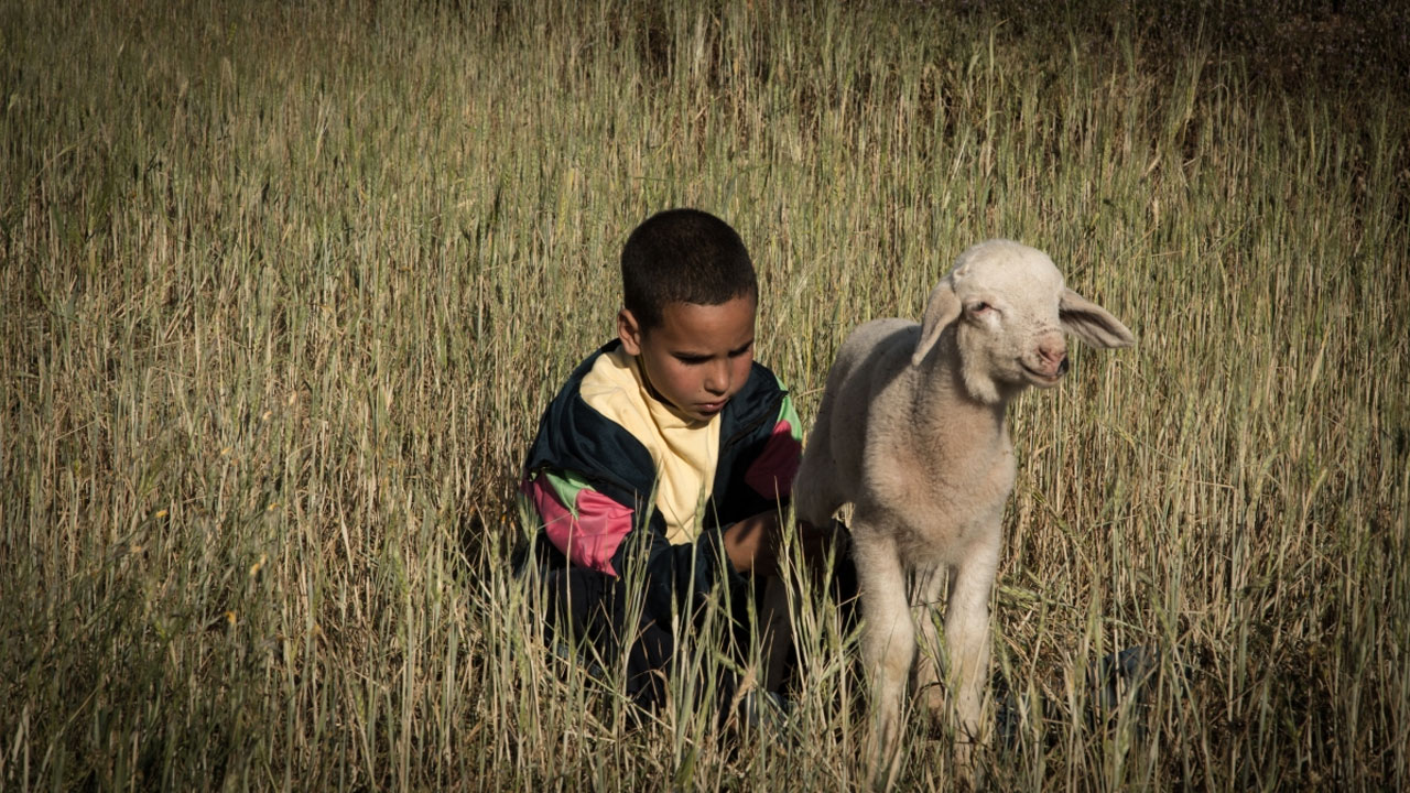 Copertina per A Cormons il film 'My Name Is Adil', un viaggio dal Marocco a Milano tra radici e futuro