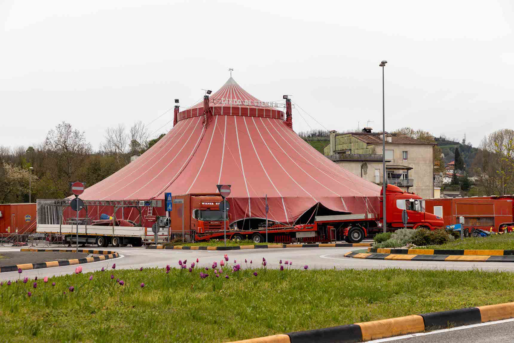 Copertina per Il circo in piazza Casa Rossa fa discutere a Gorizia, «animali in gabbia»