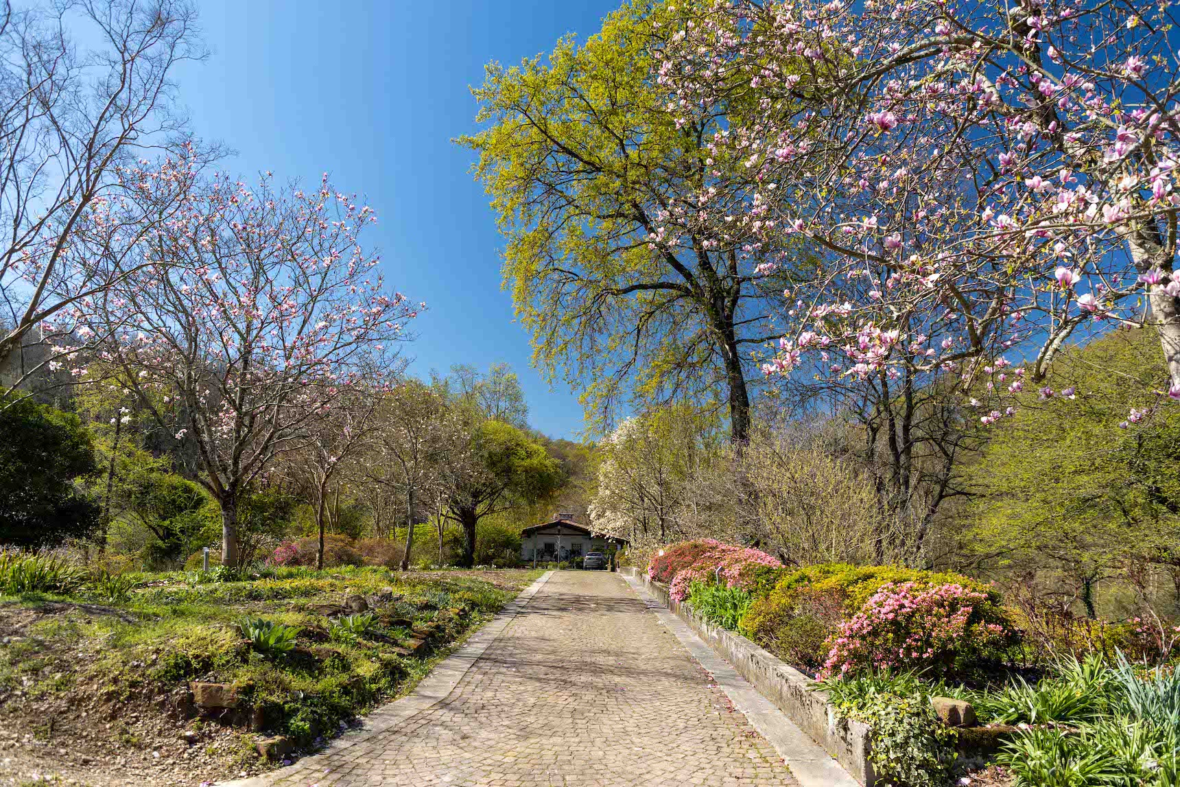 Copertina per Riapre al pubblico il bellissimo Giardino Viatori, idea apertura in autunno