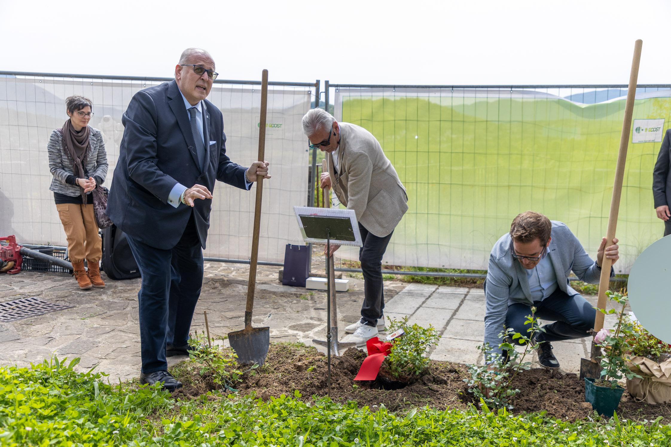 Le rose che riuniscono l'antica Contea di Gorizia, tre città piantano boccioli