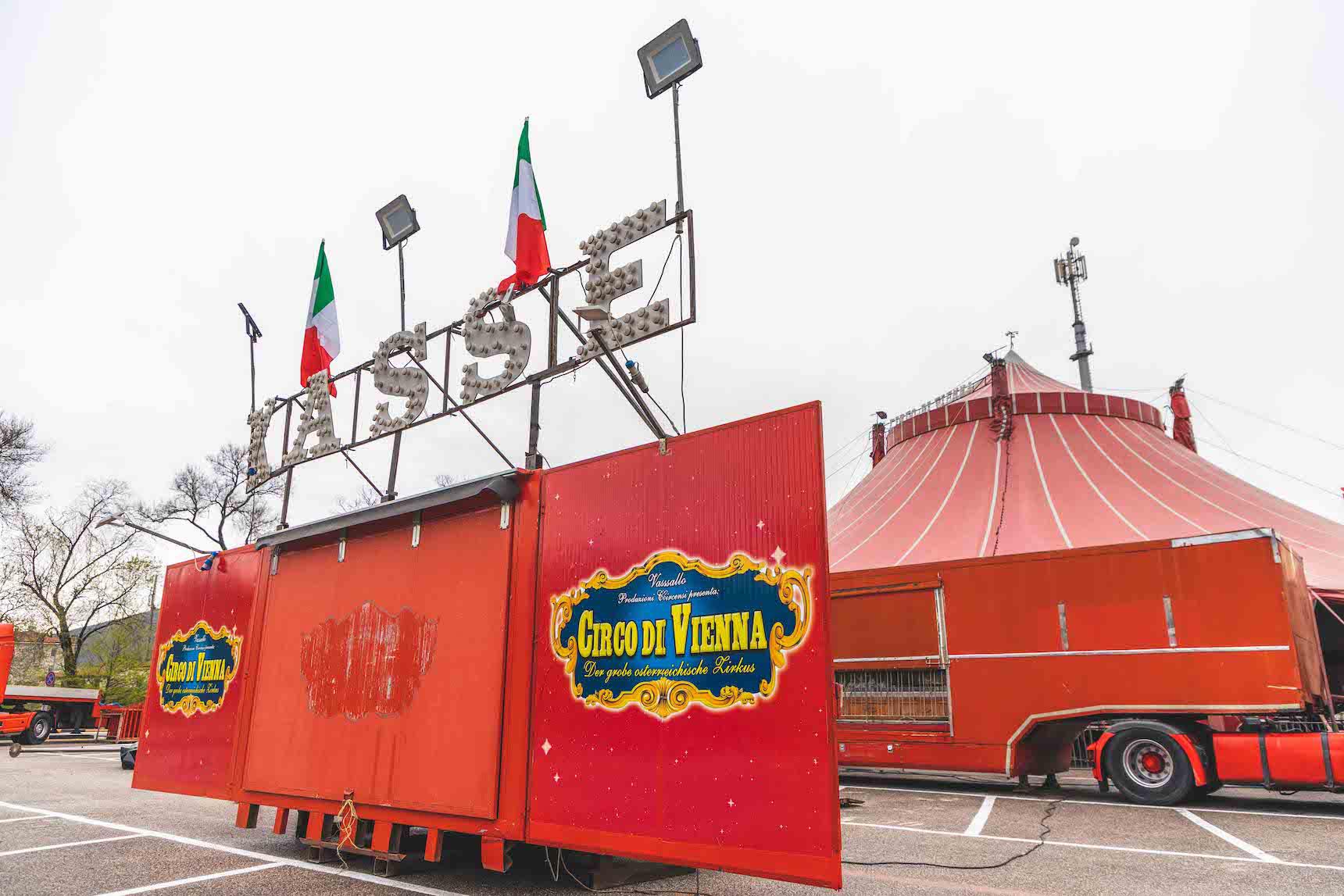 Immagine per Animali nei circhi, la lettera del sindaco di Gorizia: «Basta fondi pubblici»