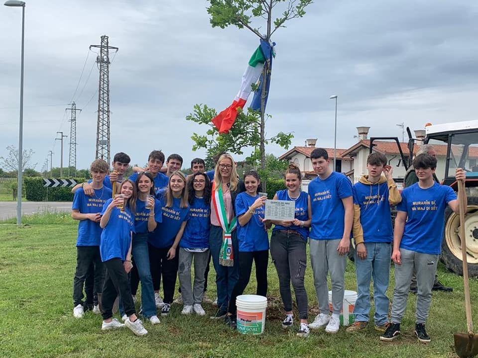 Immagine per Il Maj unisce Lucinico, Madonnina e Mossa: albero per 14 ragazzi