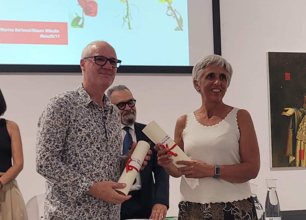 Immagine per Facciamo rumore, arte in campo contro la violenza sulle donne a Gorizia