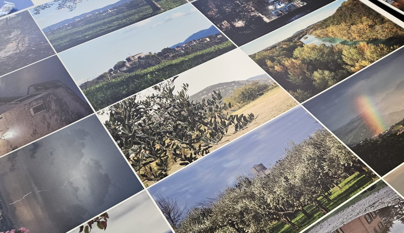 Immagine per Gorizia e dintorni, le foto di Mitteldream tra i banchi del Mercato coperto