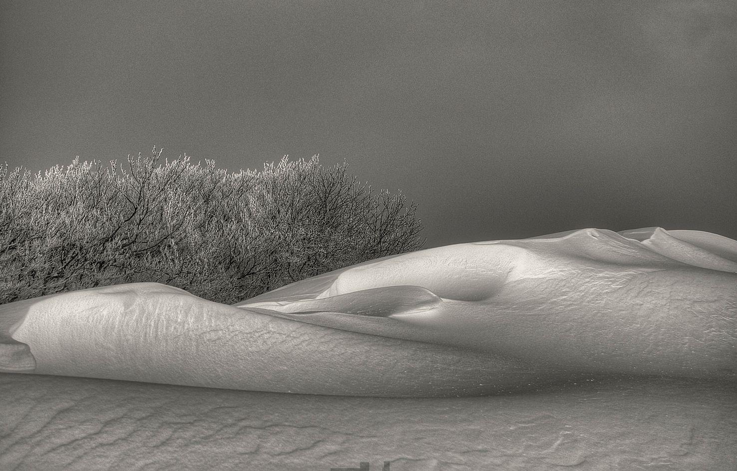 Immagine per Artigianato, arte e fotografia alla Portopiccolo Art Gallery
