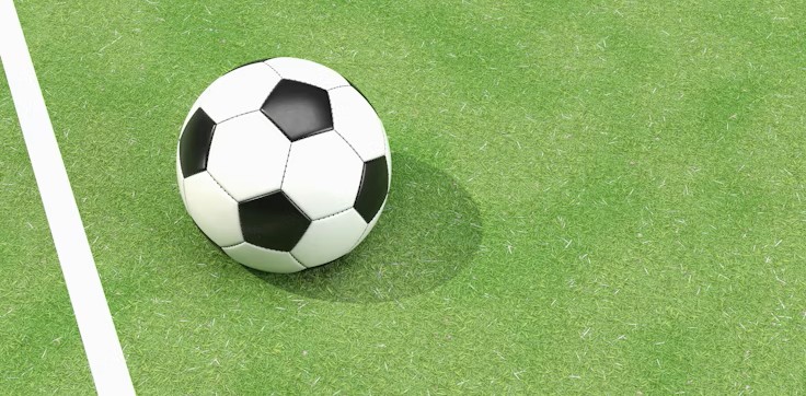 Immagine per Capire le nuove regole per lo sport dilettantistico, a Gorizia un convegno per le Asd e le Ssd