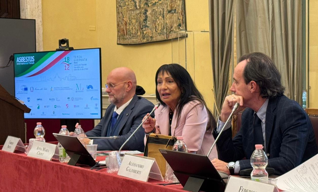 Immagine per Riattivato il Tavolo Interistituzionale all’Asbestos International Forum. Cisint: «Italia ed Europa agiscano con decisione»