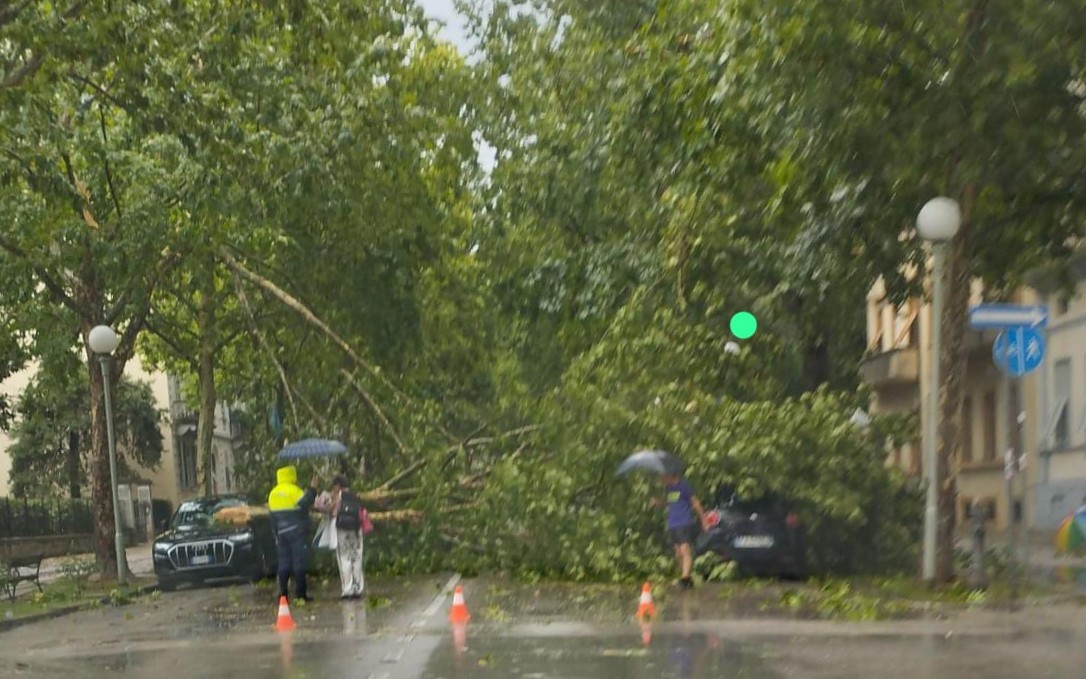 Copertina per Gorizia, due alberi si schiantano in Corso Italia. Danni anche a Gradisca