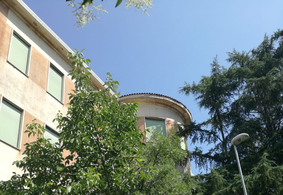 Copertina per I dubbi di Legambiente Gorizia sul futuro del verde dell’ex ospedale. L’Edr: «Nessun abbattimento previsto»