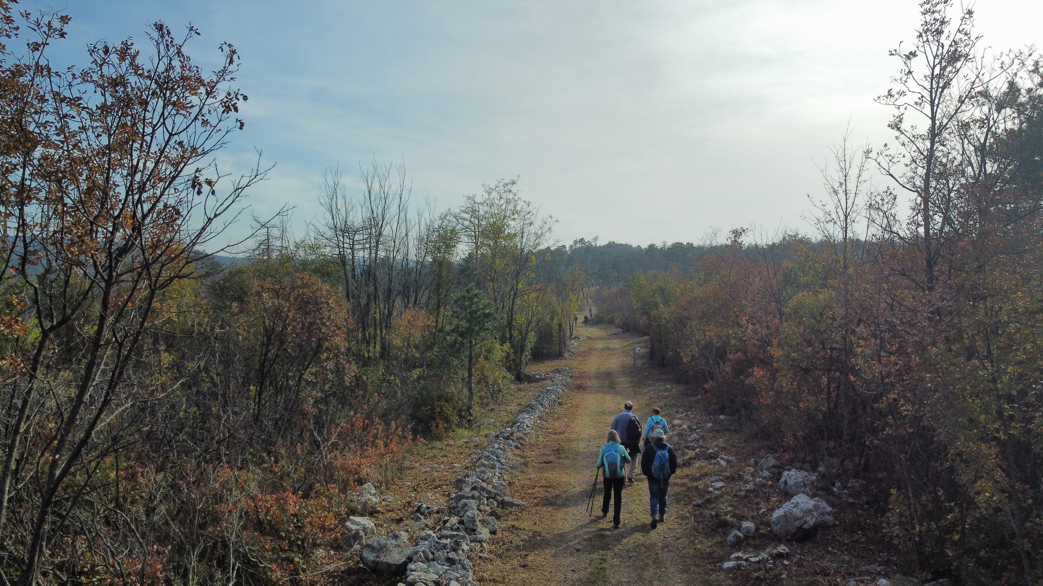 Immagine per ‘Parole e musica in cammino’ la giornata-evento lungo l’Iter Goritiense tra San Canzian d’Isonzo e Aquileia