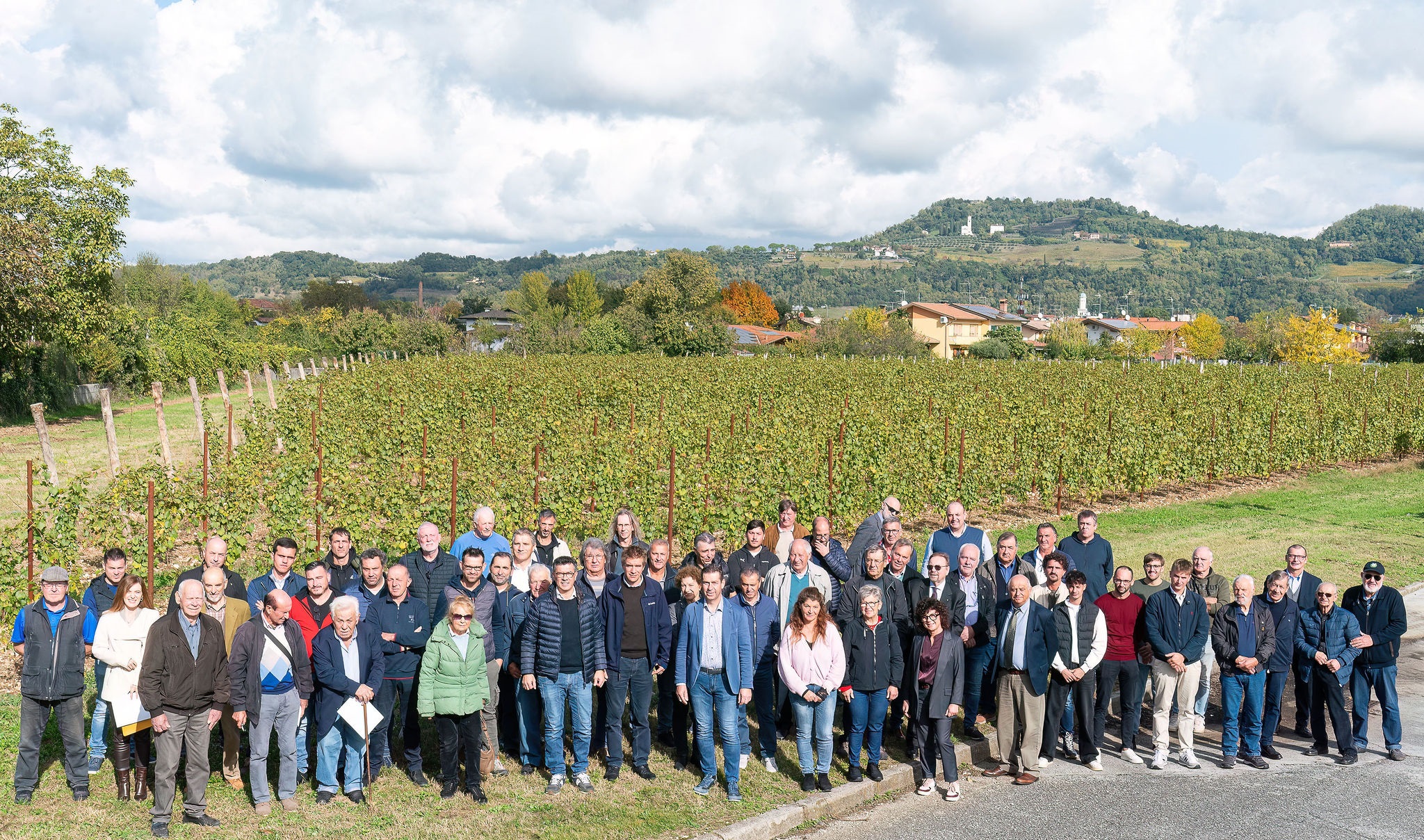 Immagine per Cormòns, analizzato e approvato all’unanimità il bilancio 2024/2025 della Cantina Produttori: fatturato in crescita del 3,8%