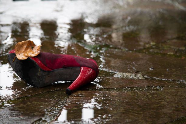 Immagine per San Canzian contro la violenza sulle donne. Un intero mese di appuntamenti per dire «Mai più»