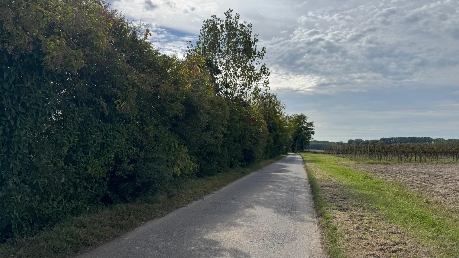 San Canzian d’Isonzo, al via i lavori di manutenzione dei corsi d’acqua comunali. Attenzionati i canali che confluiscono nella Macorina
