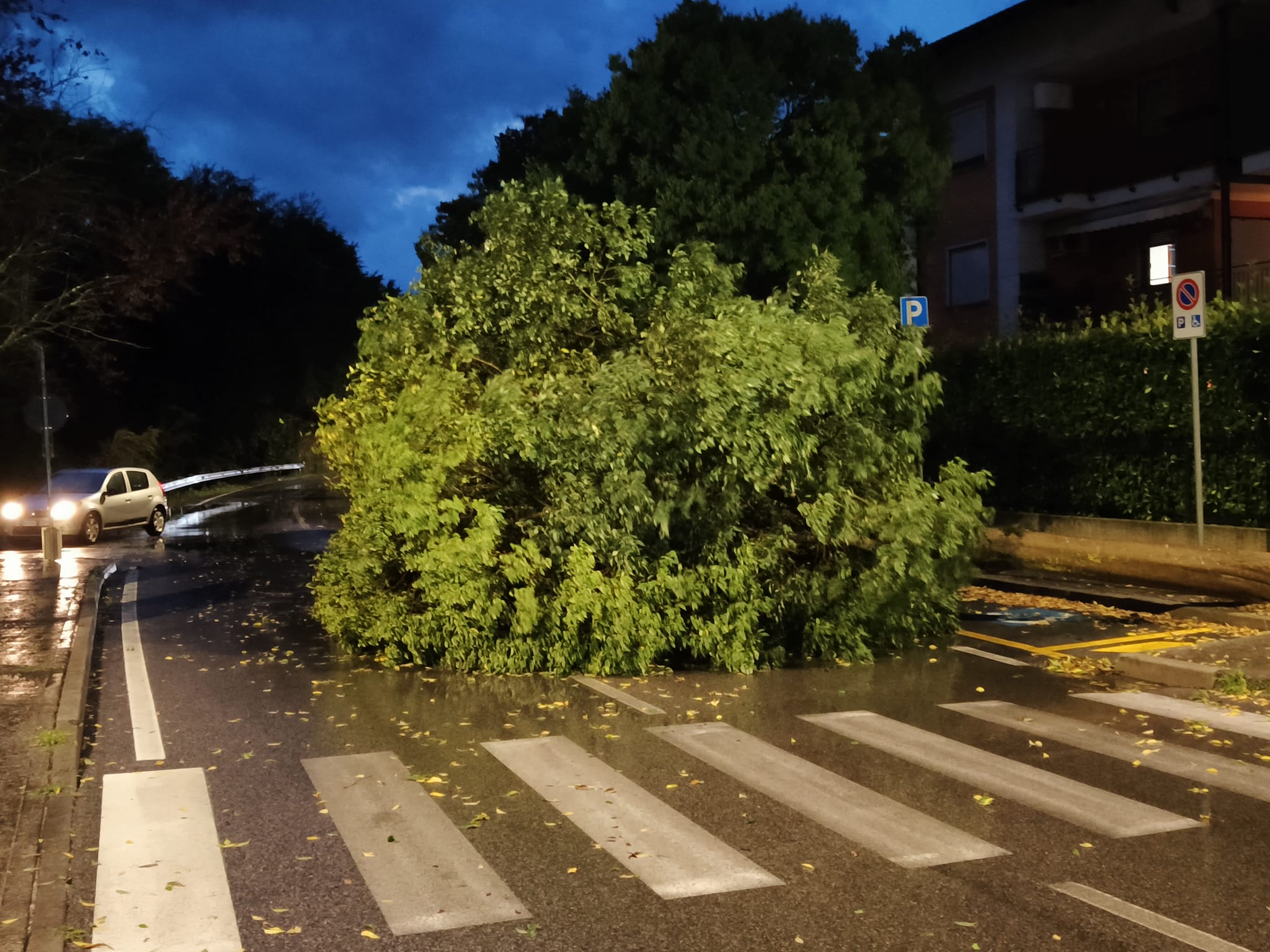 Copertina per Violente grandinate si abbattono sul Goriziano. Crolli e allagamenti su Bisiacaria e Bassa