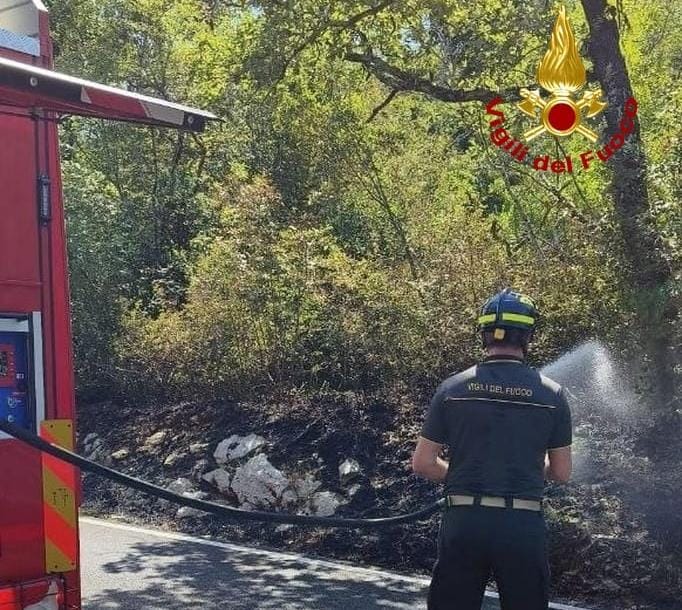 Immagine per Brucia il Carso a Doberdò del Lago: fiamme tra Micoli e Bonetti, in azione Vigili del fuoco e Protezione civile
