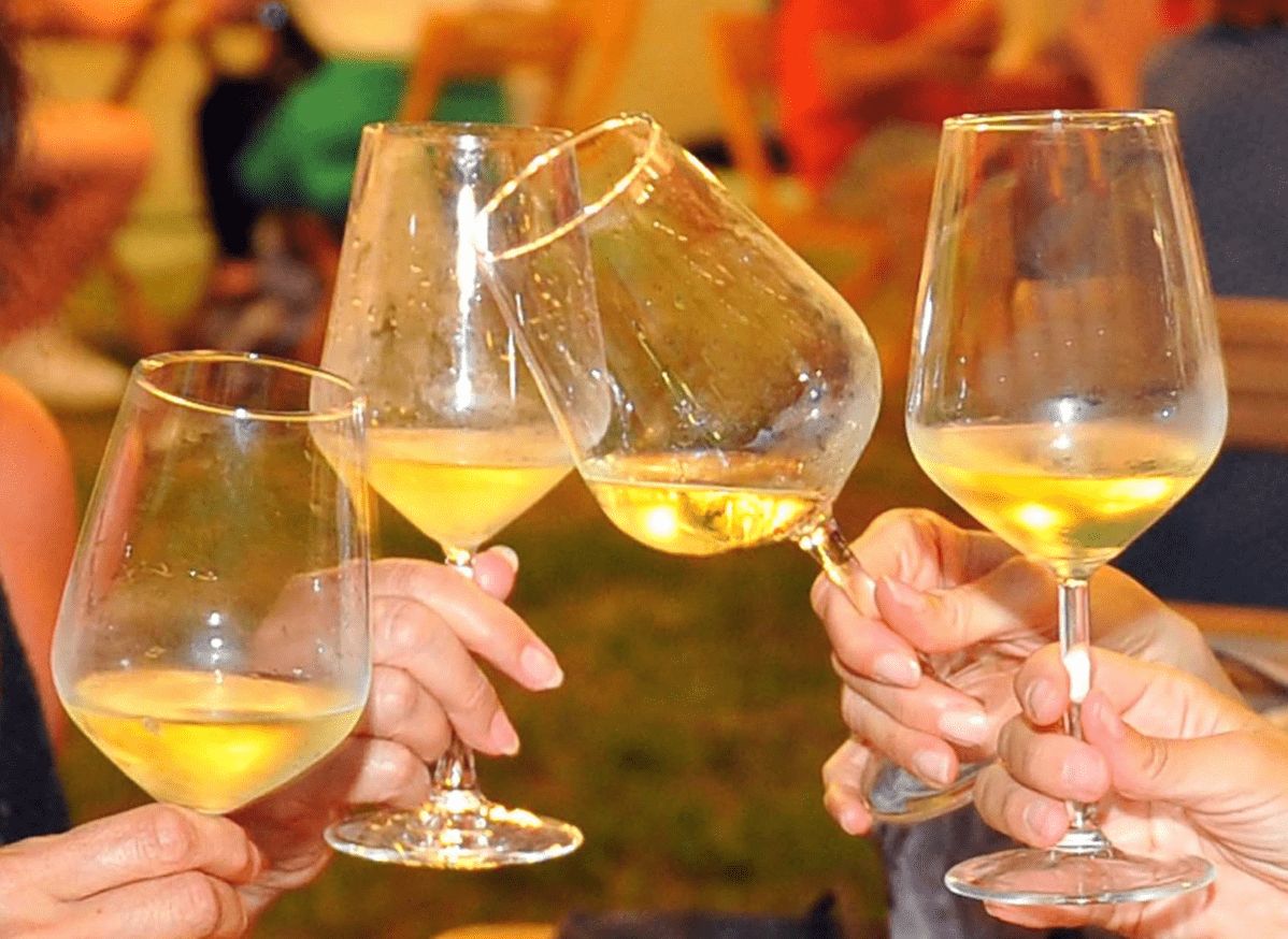 Immagine per A Villa Chiopris l’ultima tappa de ‘Le Notti del Vino’: venerdì 4 settembre degustazioni, musica e prodotti tipici