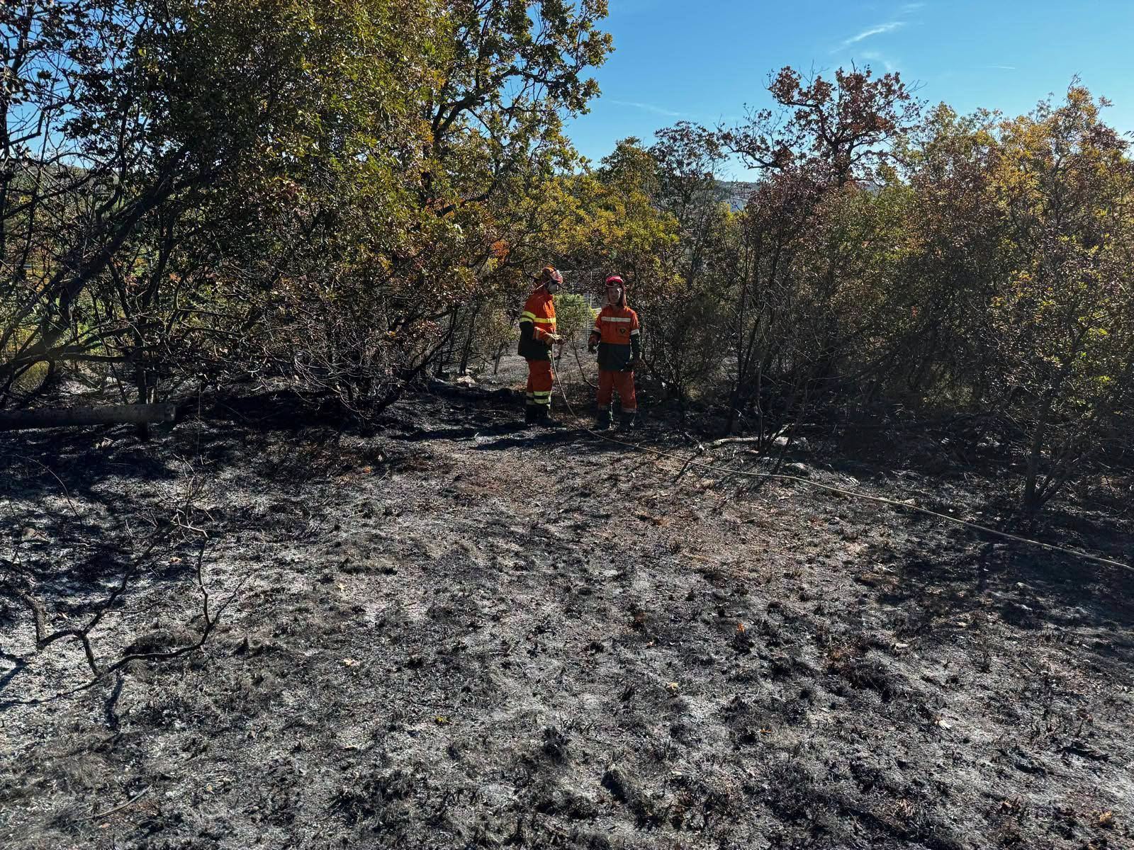 Immagine per Incendio vicino alle case, fiamme sotto controllo a Sistiana