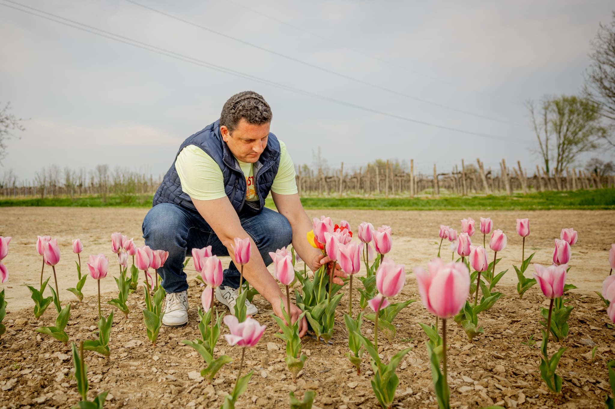 Immagine per Fotonotizia - La solidarietà fiorisce a Ruda: ‘Tuliparty’ raccoglie 2330 euro per le cure mediche