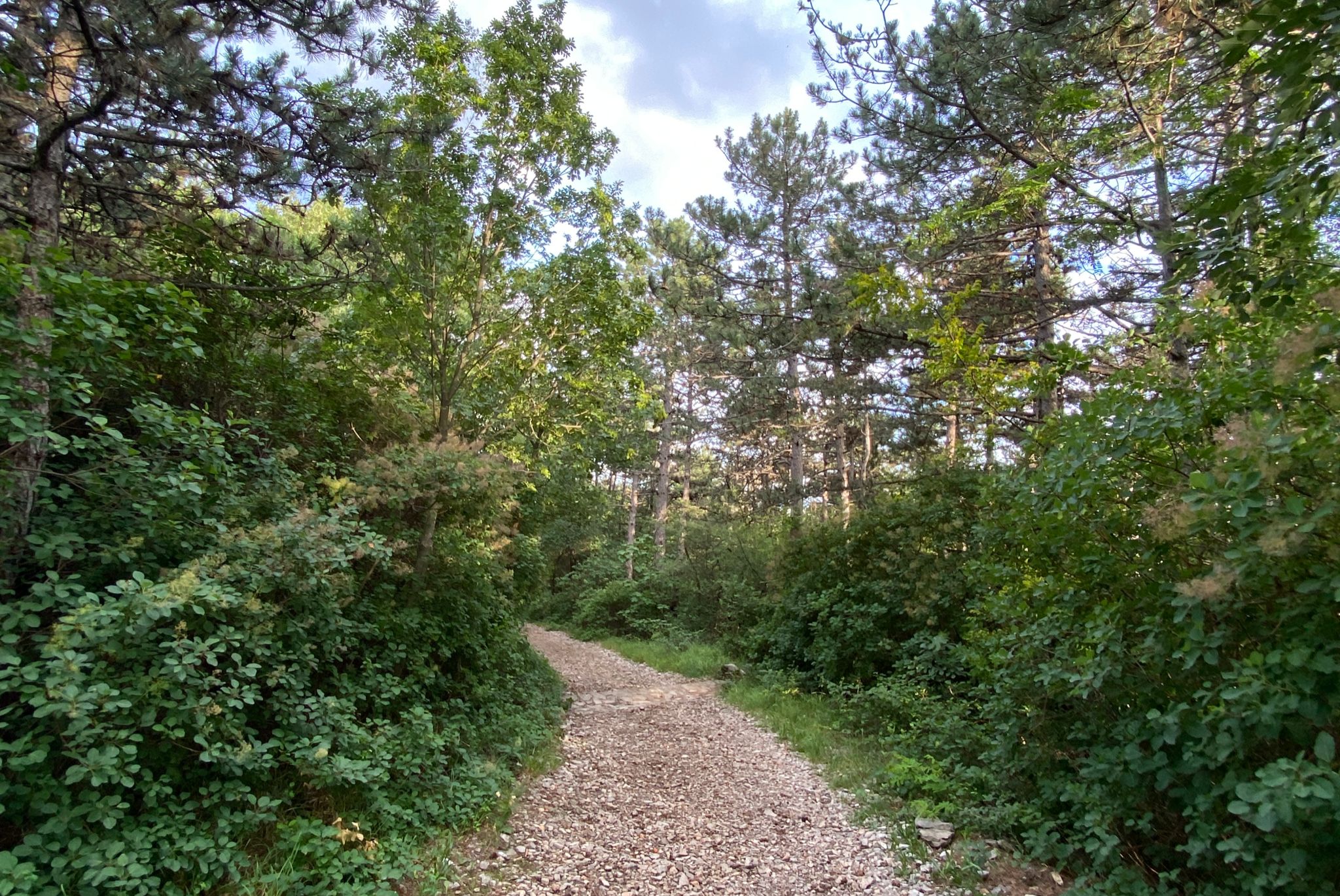 Immagine per Erosione del suolo, a Duino la presentazione del programma Interreg ‘VI-A Italia-Slovenia’