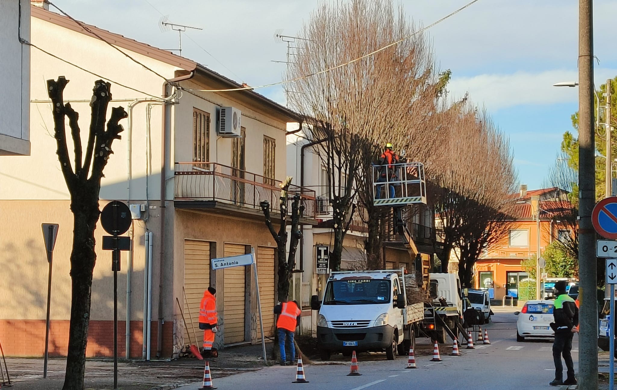 Immagine per Ronchi, Bassi fa chiarezza sul verde pubblico: «Abbattimenti necessari per la sicurezza»