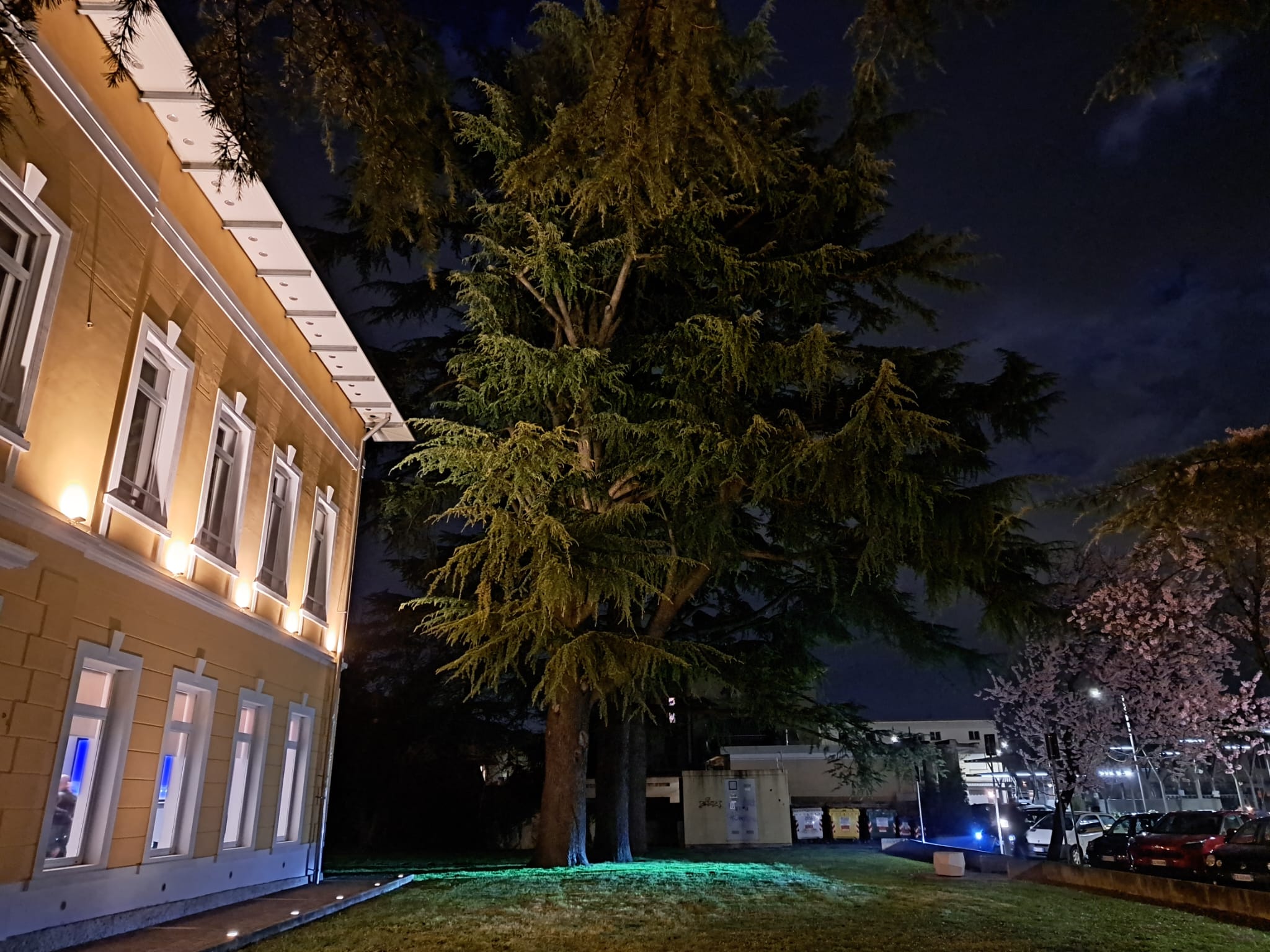 Immagine per San Canzian ricorda la Shoah con la storia dell’ultimo bambino di Auschwitz