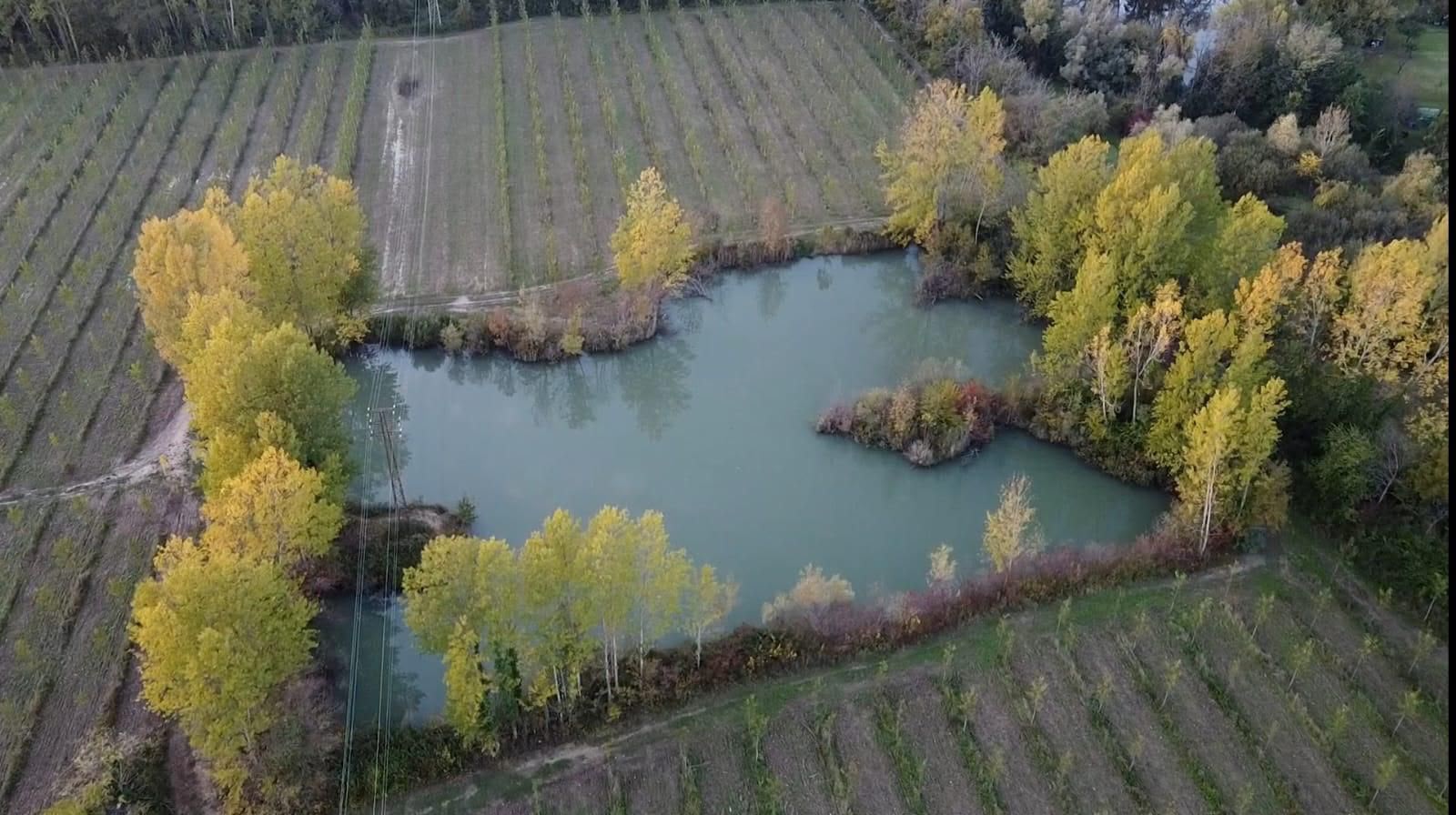Immagine per Idrocarburi e metalli pesanti nei Laghi delle Mucille: l'allarme di Legambiente sugli scarichi dall'A4 