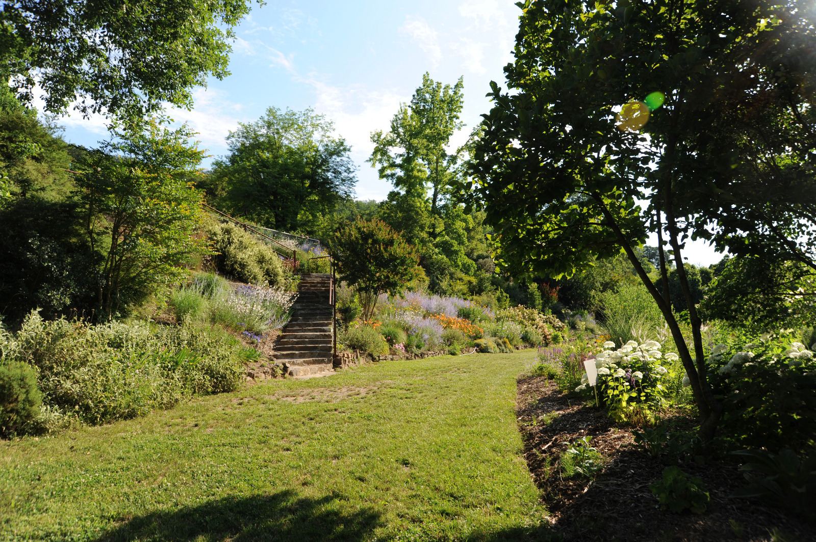 Laboratori verdi per nonni e bambini e passeggiate letterarie: ecco i due nuovi eventi al Giardino Viatori