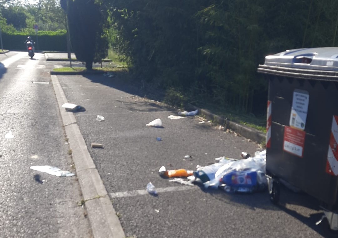 Rifiuti abbandonati a San Canzian, Devidè: «Sono crimini ambientali» 