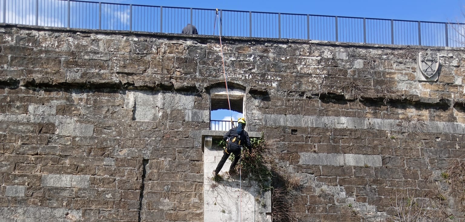 Immagine per Cura del verde dei siti storici goriziani: concluse le manutenzioni
