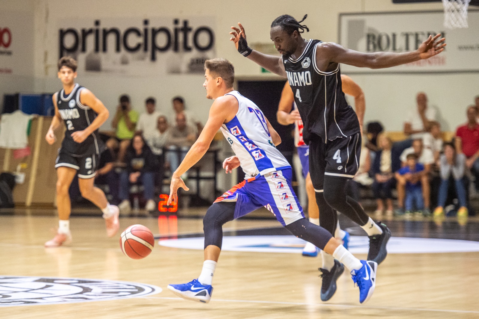 Immagine per Gorizia, finale Jadran-Pordenone al Memorial Bulfoni: decisive le vittorie su Dinamo con 83-85 e Falconstar con 78-79