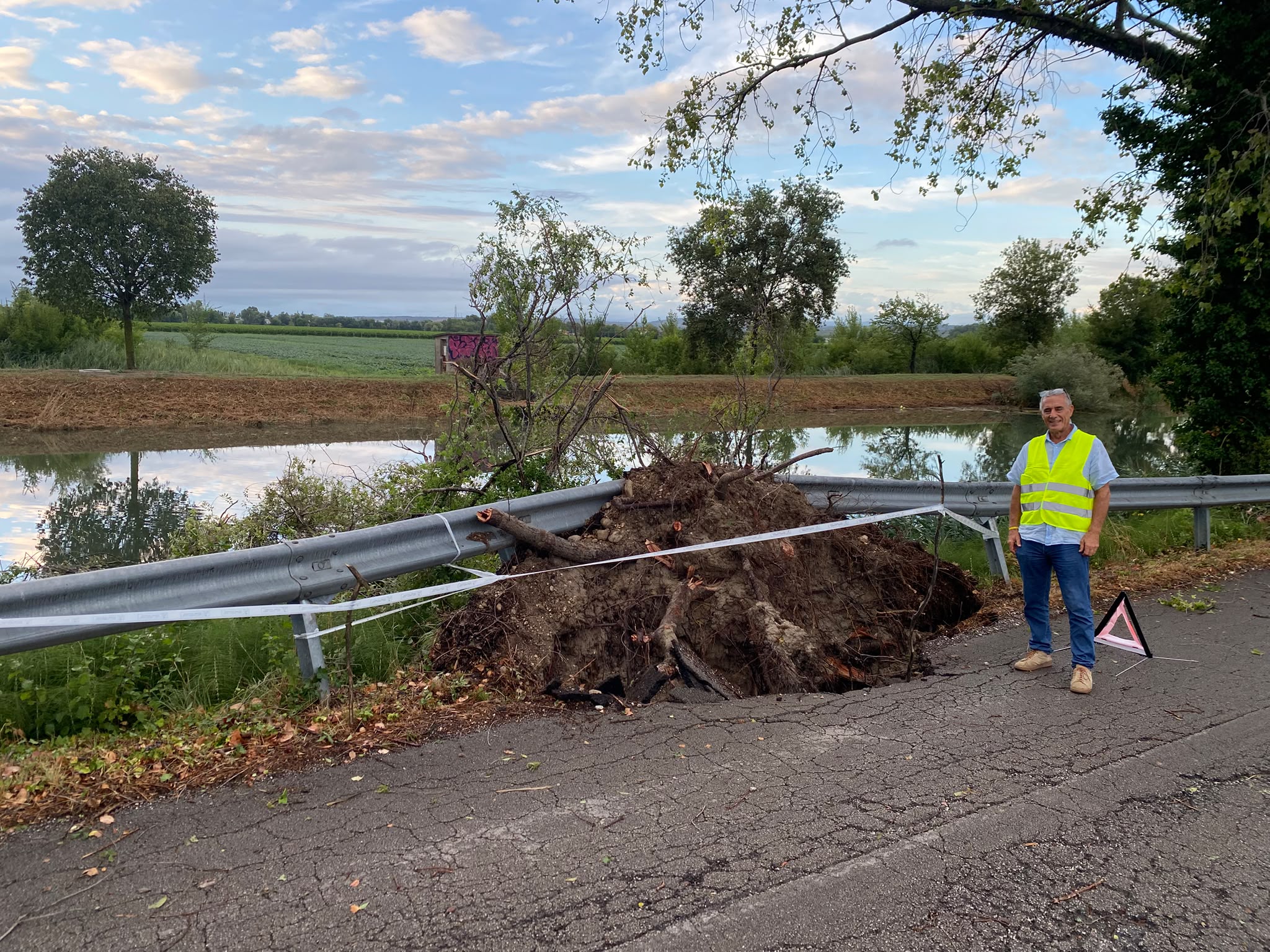 Immagine per Alberi pericolanti e cedimenti dell’asfalto: la Strada del Brancolo è a un punto di non ritorno 