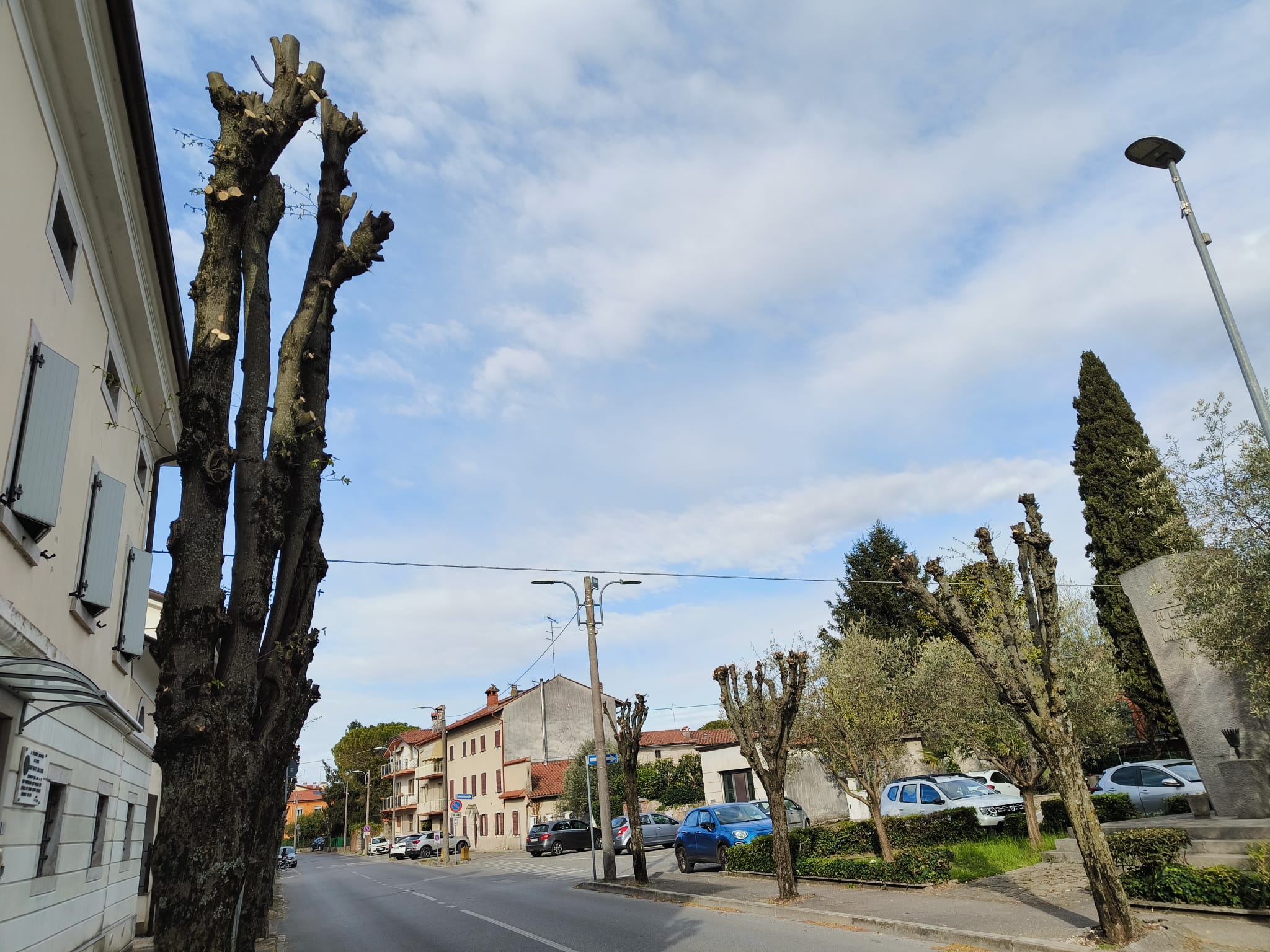 Immagine per Ronchi, conclusa la campagna potature 2026: oltre 98mila euro per interventi su 400 alberature