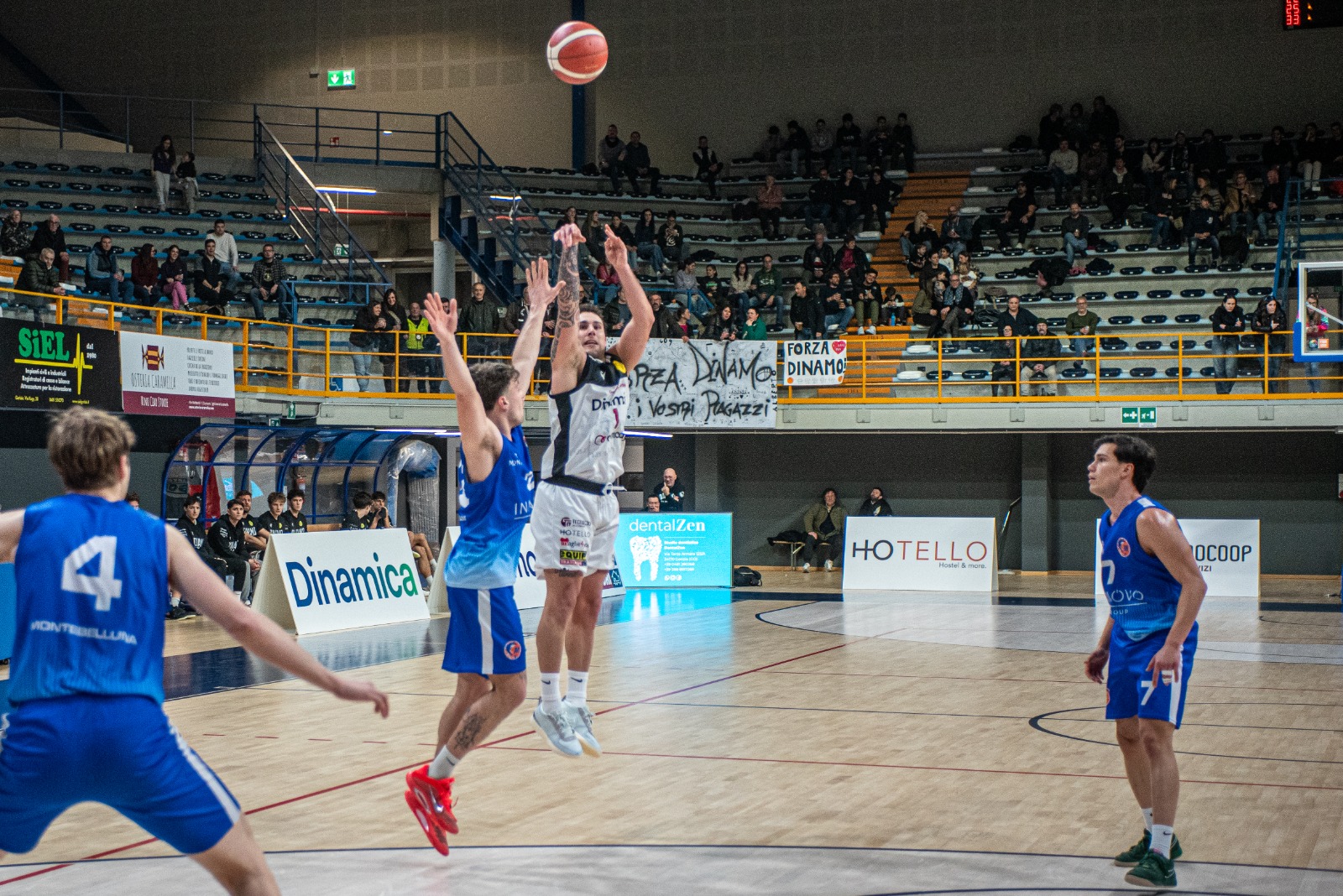 Immagine per Trionfo della Dinamo Gorizia, 105 a 66 sul Montebelluna. Si consolida il terzo posto in classifica