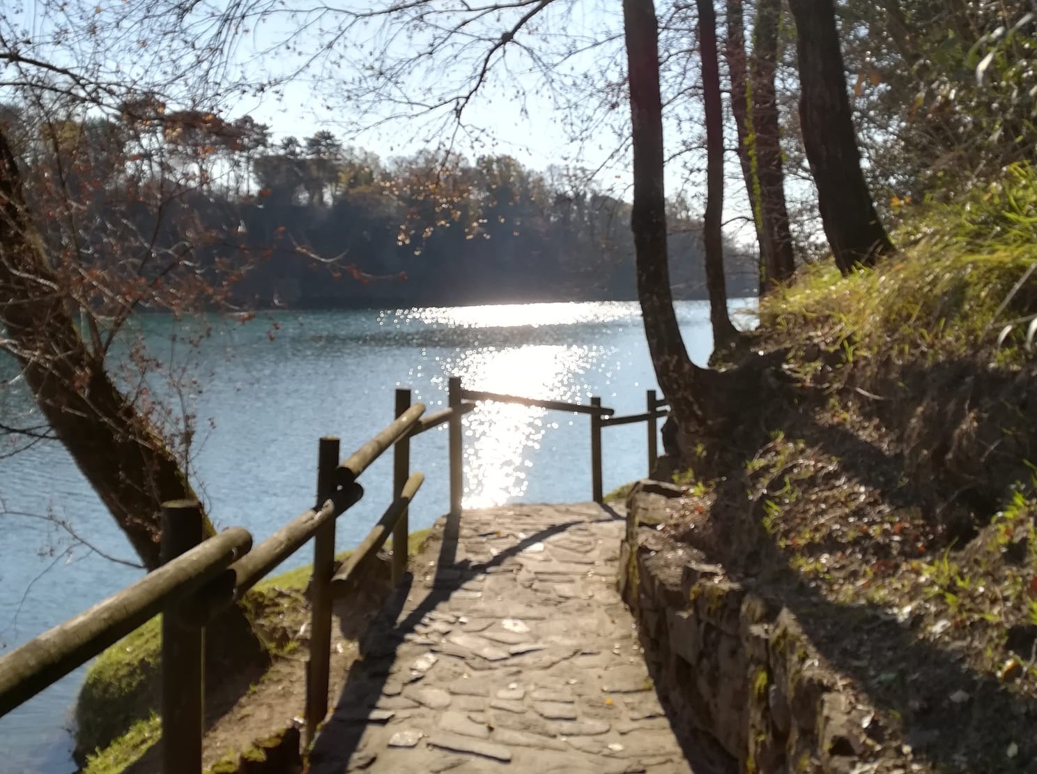 ‘Isonzo Beach’, il progetto al Parco Piuma risolleva le perplessità di Legambiente Gorizia