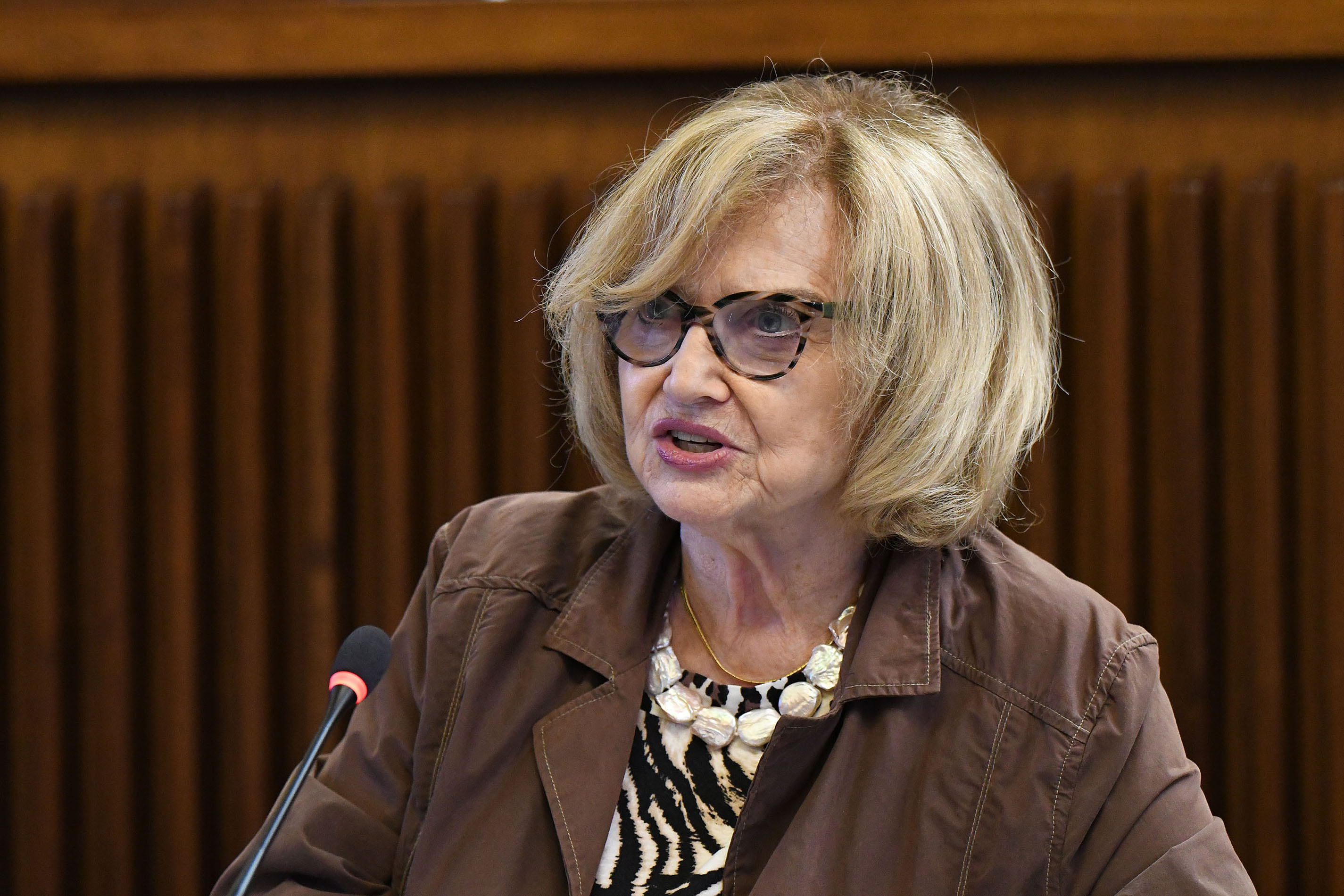 Immagine per Archivio Basaglia e monte Calvario, Fasiolo: «Incoraggianti segnali di tutela»