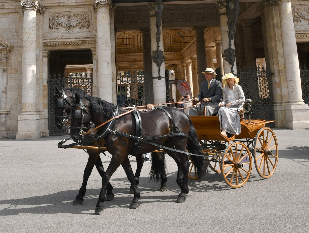 Immagine per Da Gorizia a Budapest in carrozza: Associazione Mitteleuropa e Afac in viaggio a cavallo per una settimana