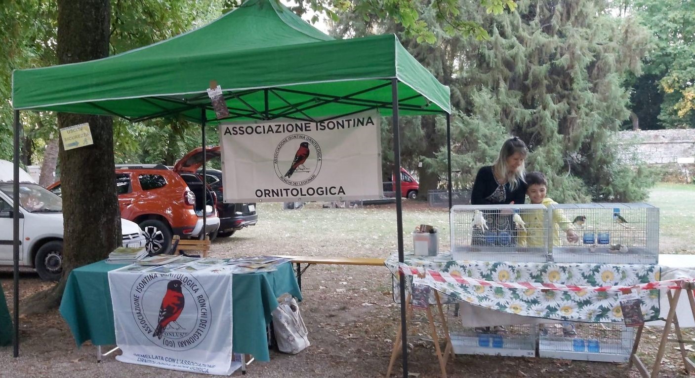 Immagine per Gradisca d’Isonzo, al via la 60esima Mostra Ornitologica: il canto degli uccelli rallegra il Ferragosto