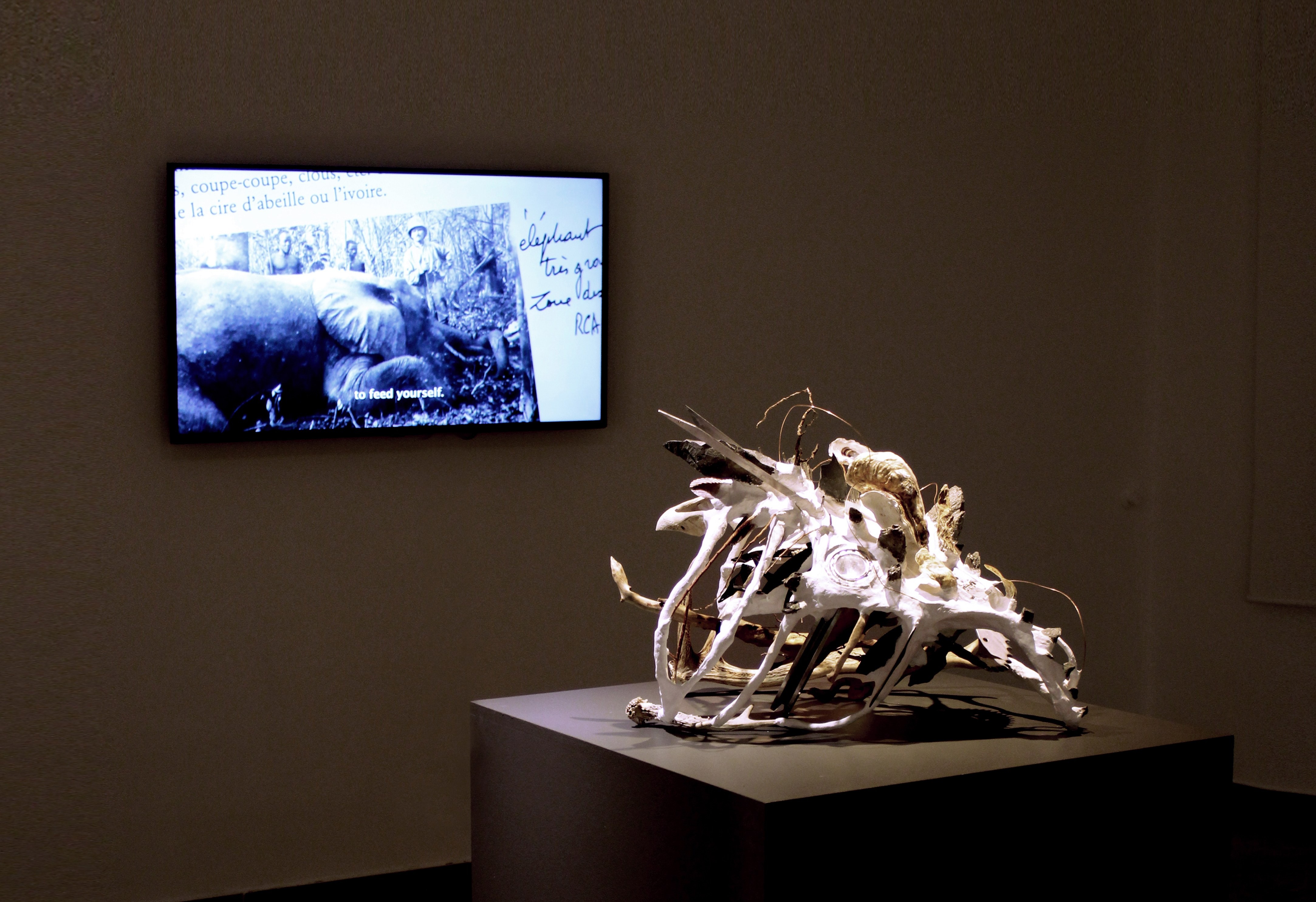 Immagine per Da Gradisca a Milano, la mostra ‘Animal Among Animals’ diventa un catalogo: la presentazione alla Triennale 