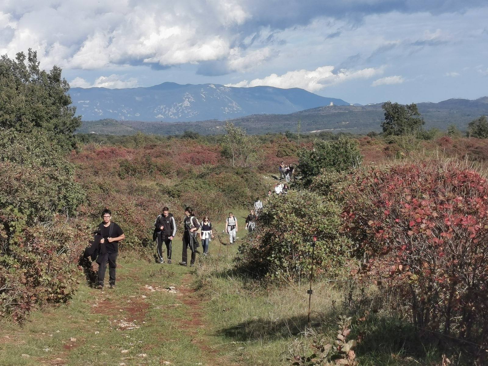 Immagine per MOVE Week 2026: sul Carso monfalconese il ‘Percorso della Memoria’ targato Uisp