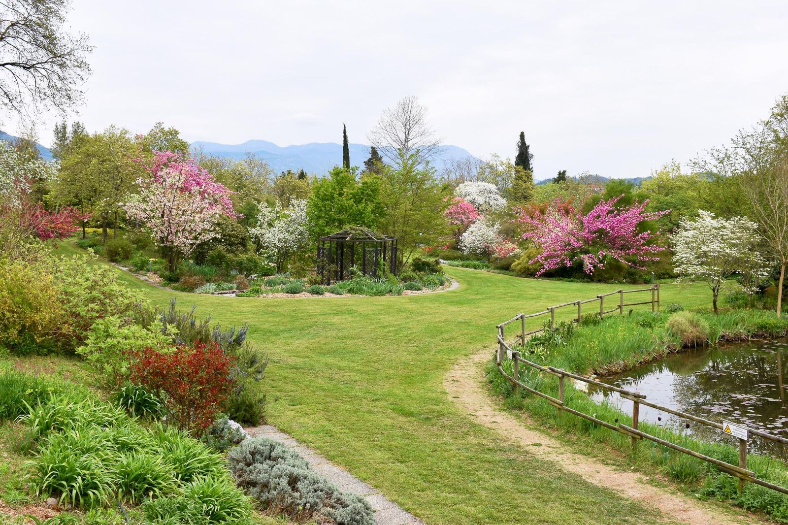 Immagine per Poesia e fotografia diventano parte del Giardino Viatori: ‘Un Giardino a parole’ si presenta con una passeggiata sensoriale 