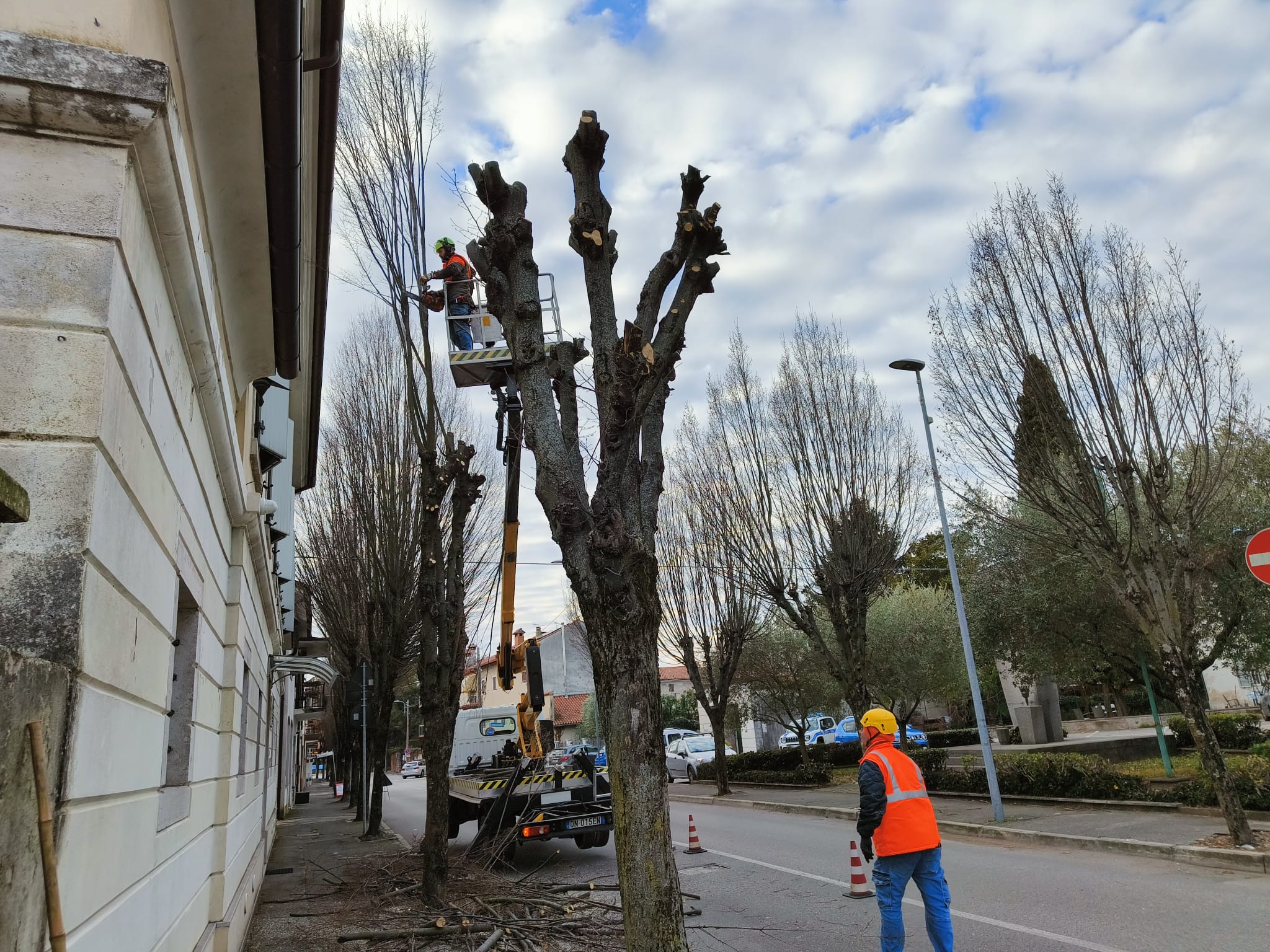 Immagine per Gestione del verde pubblico a Ronchi, appalto affidato a 'Il Mosaico': collaborerà su sfalci e interventi arborei